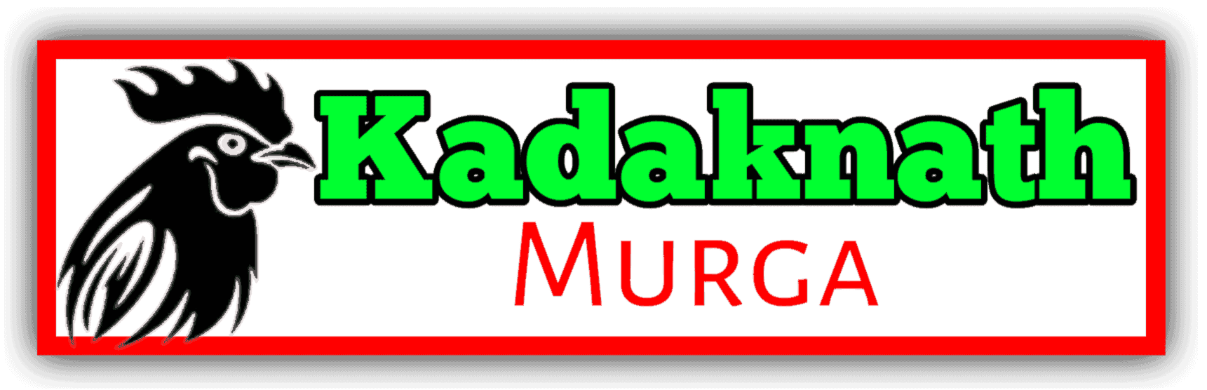 Kadaknath Murga